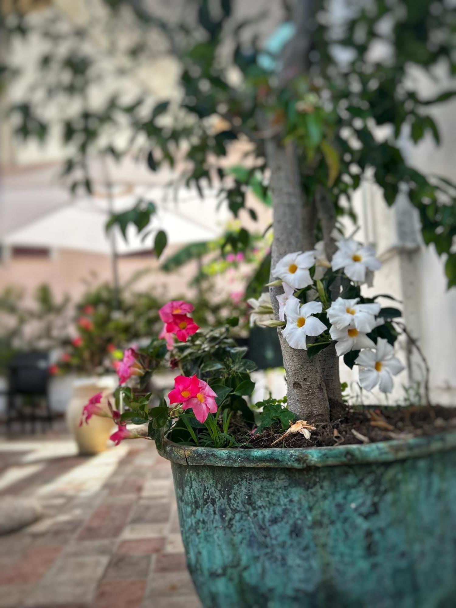 La Maison Derriere Tropea Ngoại thất bức ảnh